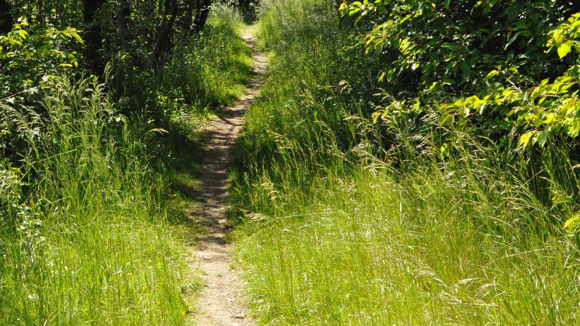 Feel the wonder of the Bavarian Forest